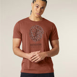 Lion Terracotta TSM
